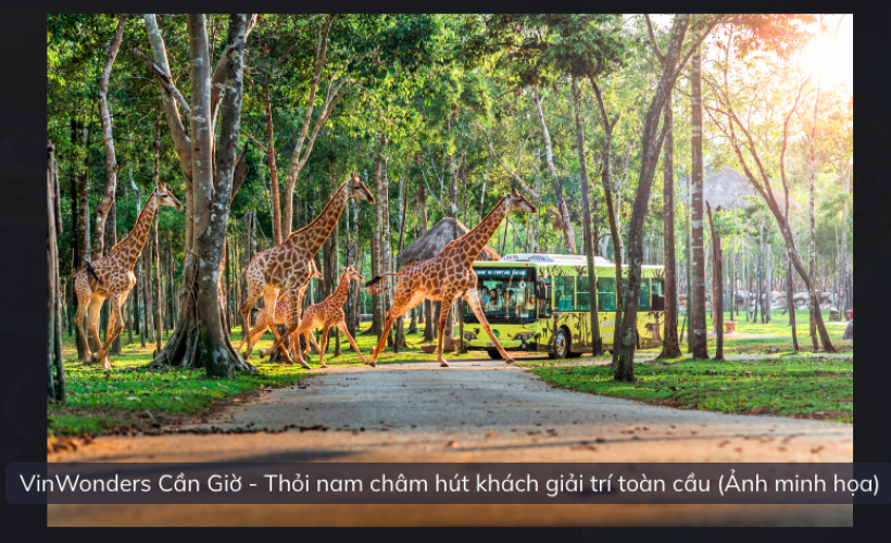 Tổng quan Dự án Green Paradise 